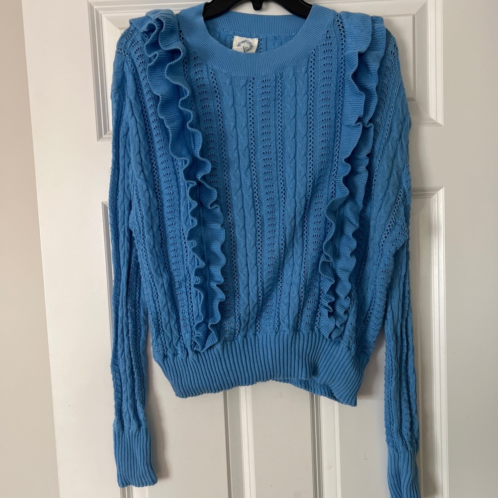 Blue ruffle sweater from francesca’s